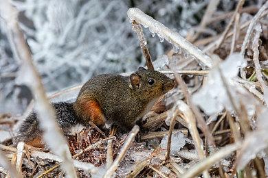 CDPR：仍有100名《巫师3》设计师在公司 《巫师4》故事总监一直没变